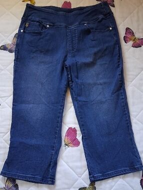 Belle By Kim Gravel Cropped Capri Pants, Sz 10T [#252a]